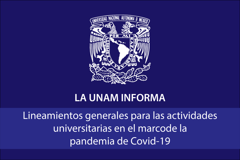 Lineamientos generales para las actividades universitarias en el marco de la pandemia de Covid-19