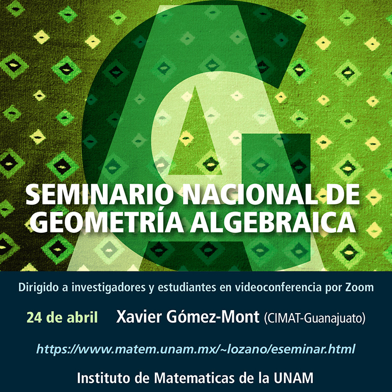 Seminario Nacional de Geometría Algebraica en línea