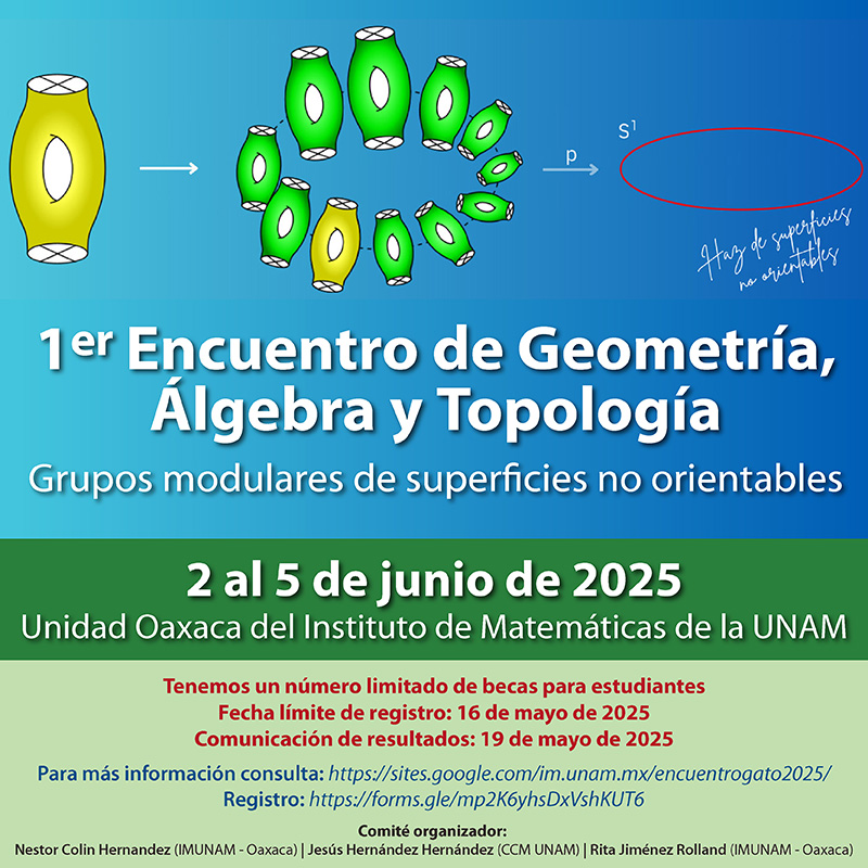 Primer Encuentro de Geometría, Álgebra y Topología en Oaxaca: Grupos modulares de superficies no orientables