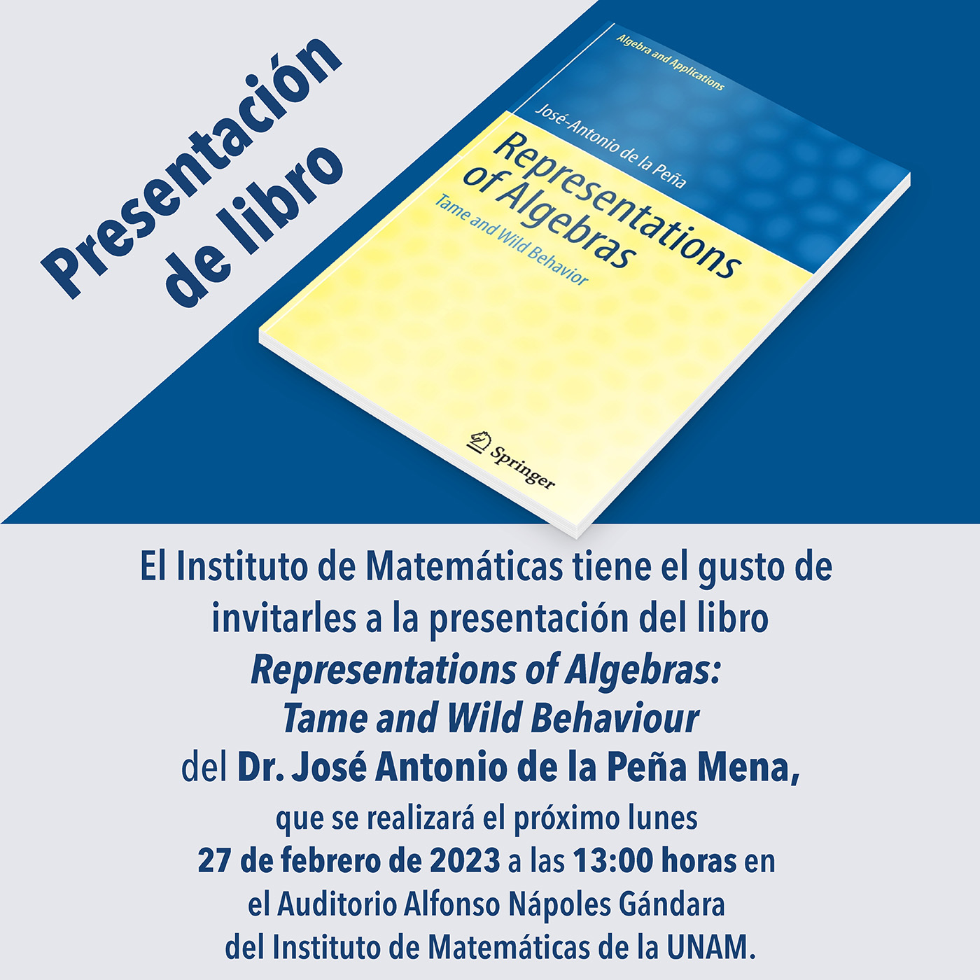 Presentación del Libro: Representations of Algebras: Tame and Wild Behaviour