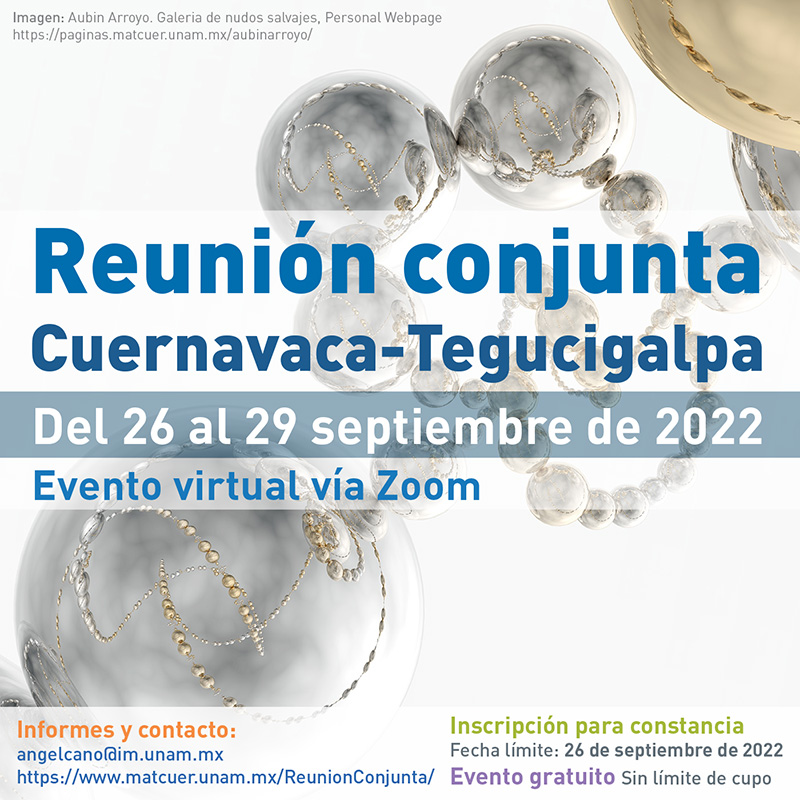 Reunión Conjunta: Tegucigalpa-Cuernavaca (Virtual)