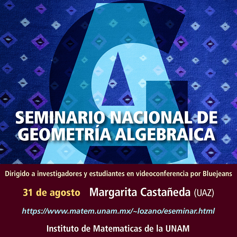 Seminario Nacional de Geometría Algebraica en línea: agosto