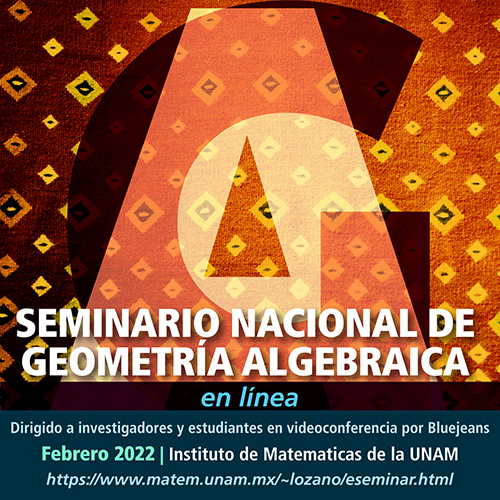 Seminario Nacional de Geometría Algebraica en línea: febrero
