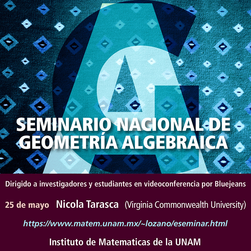 Seminario Nacional de Geometría Algebraica en línea: mayo