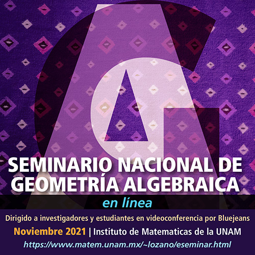 Seminario Nacional de Geometría Algebraica en línea: noviembre