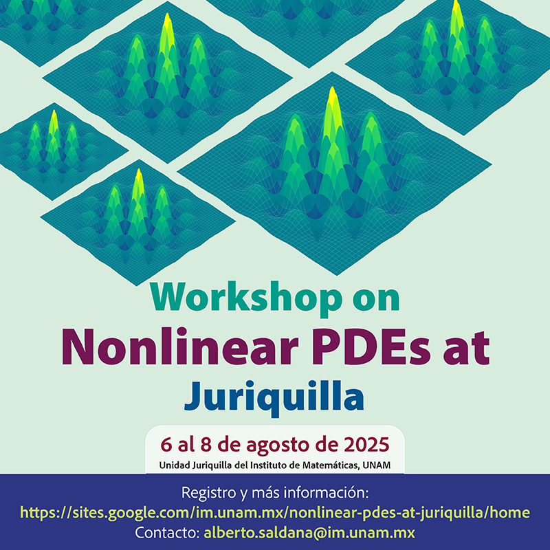 Workshop on Nonlinear PDEs at Juriquilla