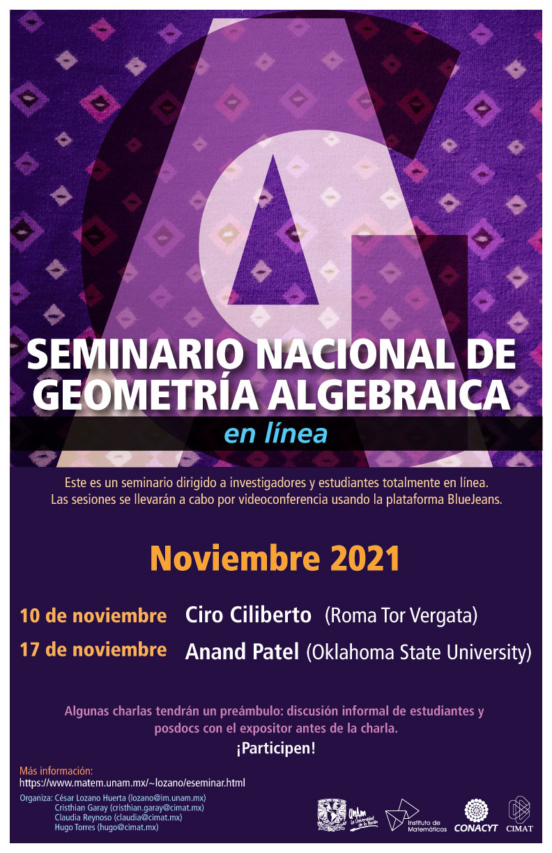 Seminario Nacional de Geometría Algebraica en línea: noviembre