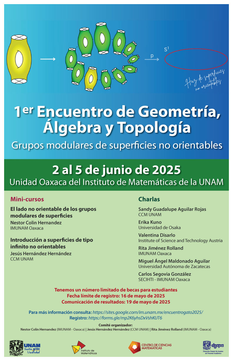 Primer Encuentro de Geometría, Álgebra y Topología en Oaxaca: Grupos modulares de superficies no orientables