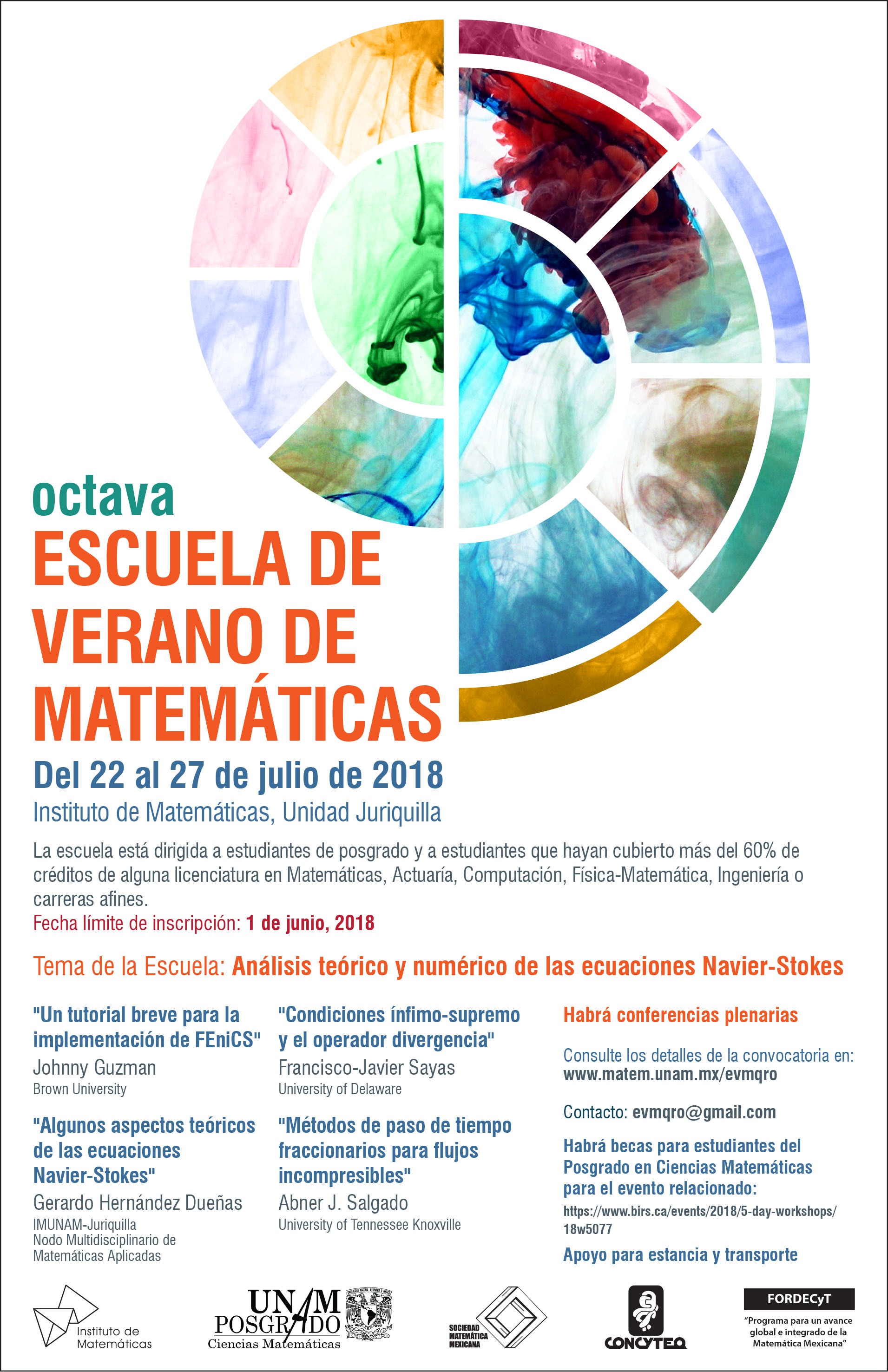 Octava Escuela de Verano de Matemáticas 