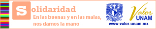 Solidaridad