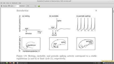 Dynamics 1